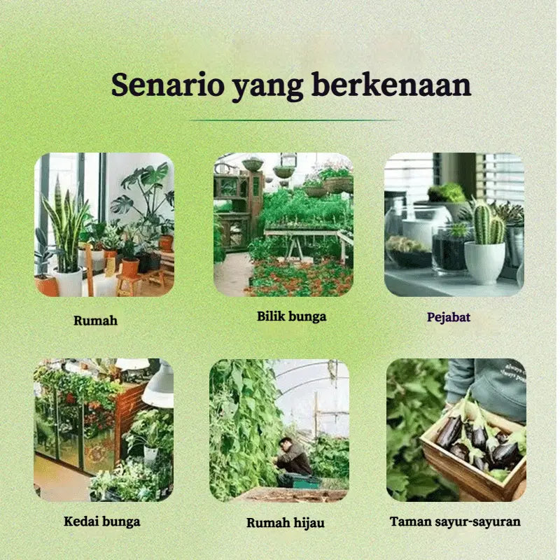 Botanical Insecticide Spray