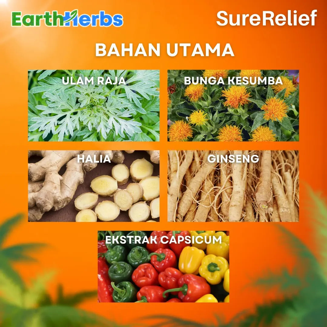 EarthHerbs SureRelief Knee Patch